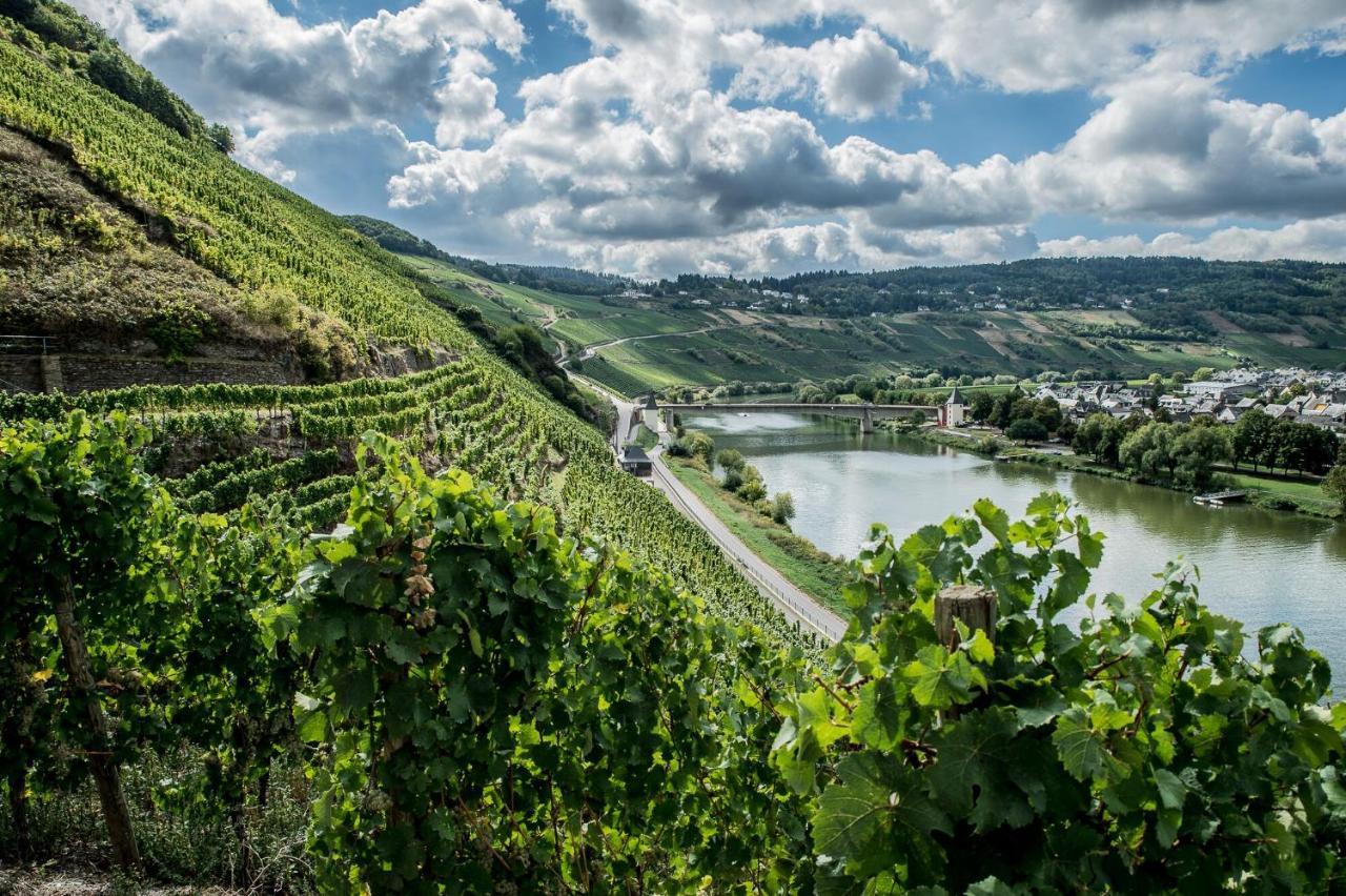 Gastehaus-Weingut Loersch Otel Leiwen Dış mekan fotoğraf