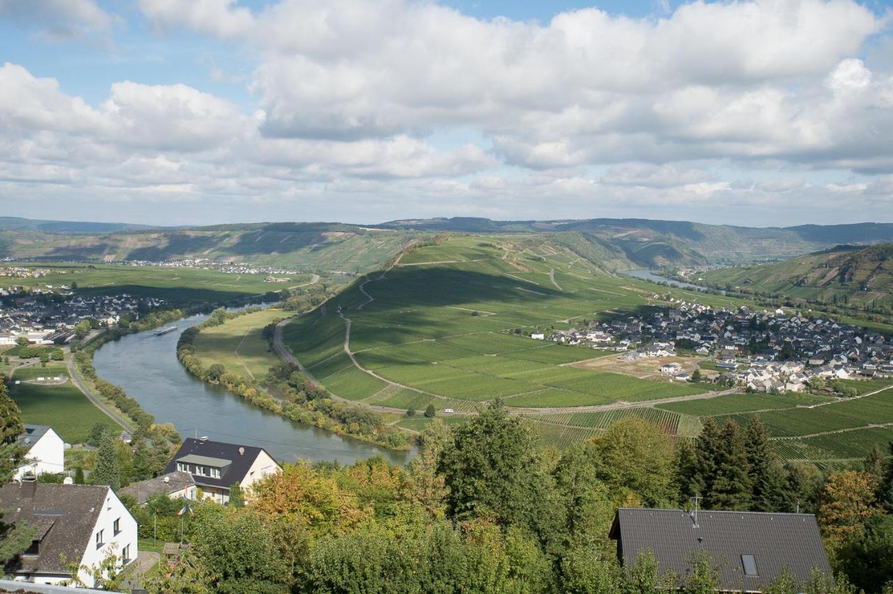 Gastehaus-Weingut Loersch Otel Leiwen Dış mekan fotoğraf